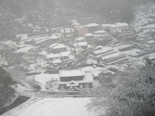 長崎総合科学大学周辺の大雪4