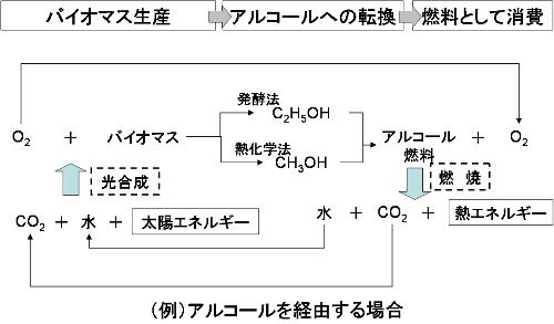 http://www.mech.nias.ac.jp/biomass/images/5-4.jpg